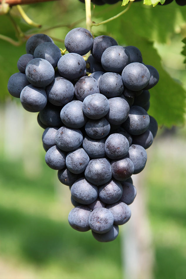 Image 02 2